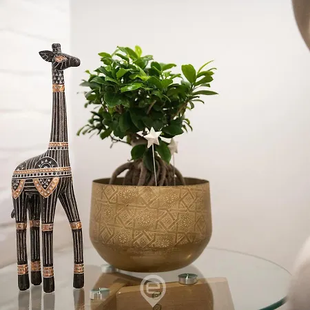 Lägenhet Corso 220 - Centre